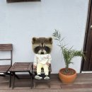 너와제주 | 제주도숙소 아기랑 | 너와제주 보름동 후기