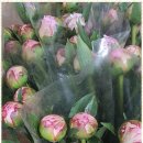 나를 찾아 떠나는 심리여행 이미지