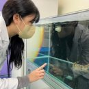 농림축산검역본부 부설 동물병원 이미지