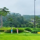 행복한 골프클리닉 이미지