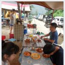 토속어류생태복원체험관 이미지