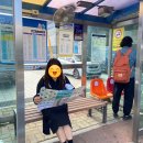 대천역 관광안내소 이미지