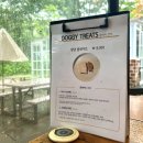 댕댕플레이트 이미지