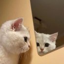 (주)글로비코리아 | [KOTRA deXters 1기 🌏] 두근두근🫀 서울 덱스터 방문기 🚶🏻‍♀️🌐