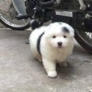 할머니집 이미지