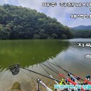 20220917 파주 직천낚시터(저수지) 붕어, 잉어 자욱한 안개속 낚시터 축축한 내옷 싸늘함 가을이 한층 더 느껴집니다. 이미지