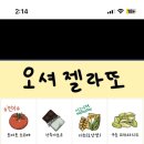 오셔젤라또 이미지