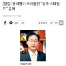 윤 대통령이 추진한 전라도 광주 스타필드, 더 현대 사업 이미지