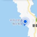 쏠플레오 이미지