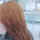 라벤더에쉬 | 삼송미용실로 유명한 라벤더에쉬에서 기분전환하기