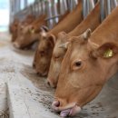 홍성슈퍼 이미지