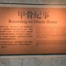 관계(關係)의공존( | 안양 문자박물관｜중국 문자발전사2(2024)
