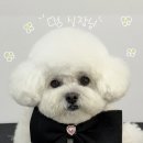 멍발소 하우스 이미지