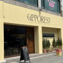 히포레스트(Hipporest) 네이버블로그