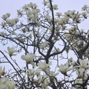 유림쭈꾸미 이미지