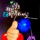 호세요양원 이미지