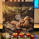 (주)자이언트에너지 | 천안 신세계아카데미 문센 후기 | 10개월 아기 리틀자이언트 울퉁불퉁 감자 겨울학기 첫 수업