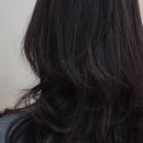 노벨리아 헤어 이미지