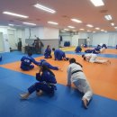 용인대 중앙 체육관 이미지