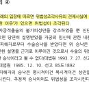 피해자 승낙 위전착 이미지
