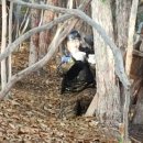 (주)헵스켐