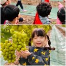 샤인농장 이미지