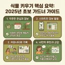 초보식물 집사들을 위한 홈가드닝 | 초보 홈 가드너를 위한 식물 키우기