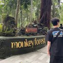 벤치 포레스트(Bench forest) | 관광지,가볼만한 곳:몽키포레스트(Monkey forest)운영정보(입장료),소요시간,원숭이셀카,방문 솔직후기
