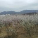 옥돌 태권도 이미지