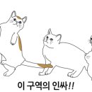 지경희동물병원 이미지