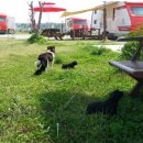 무궁화파크 이미지