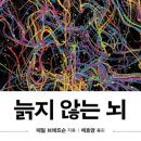 심심브레드