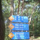 종합청사 앞 이미지