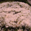 가림초등학교 이미지