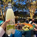 [전주 봄여행] 팔복동 철길마을 이팝나무 만개! 십원빵+떡볶이 먹거리 투어
