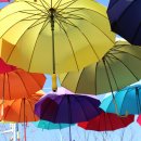 강촌스카이 이미지