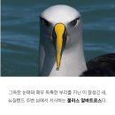 새 이미지