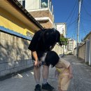 이태리주막 | 30개월 아기랑 강릉 너울주막 후기(주차,서비스최고,아기의자있음)