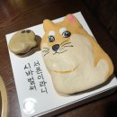 앨플로라마카롱 | 안산 마카롱케이크 앨플로라 후기 !