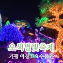 [경기] 가평 아침고요수목원(야경) 오색별빛축제 당일-여행자클럽 이미지