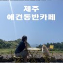 사계남로216번길 이미지