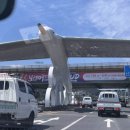 안암동 로터리(하나은행 앞) | 2025 보령 머드축제 솔직후기! 주차장 정보, 입장권 할인 꿀팁