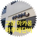 하루애단비