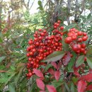 남천식품 이미지