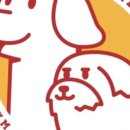 진이애견 이미지