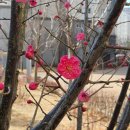 슬기로운 운동생활 이미지