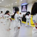 타이거즈태권도장 이미지