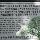 제주영락교회 이미지