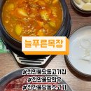 늘푸른공영