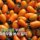 대룡농장 이미지